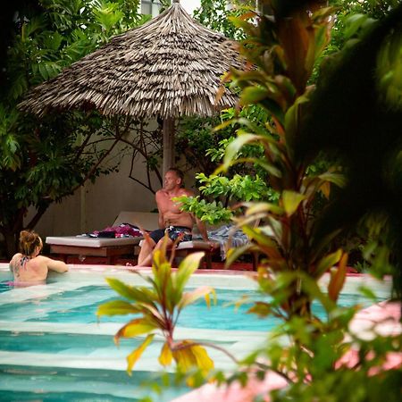 Villa Euphoria - Adults Only ปาเยอ ภายนอก รูปภาพ